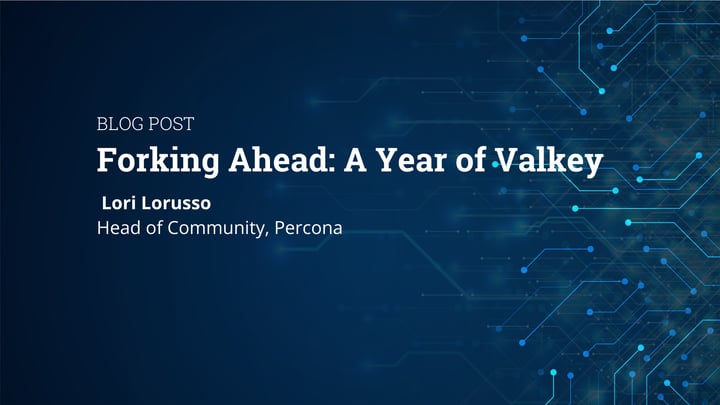 Forking Ahead: A Year of Valkey